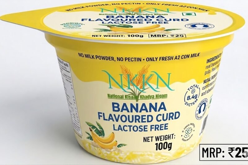 NKKN Banana Curd Lactose Free