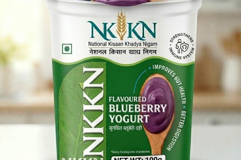 NKKN Brand Blueberry Yogurt