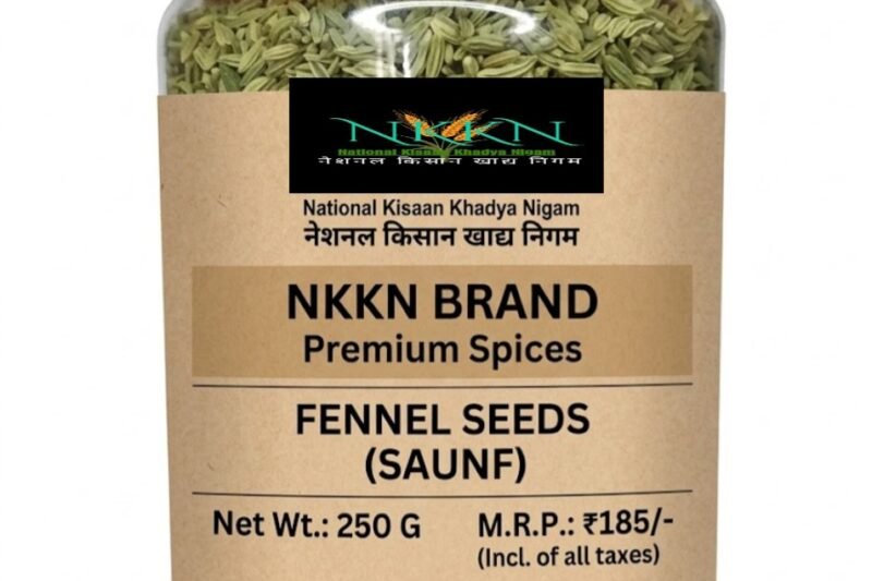 NKKN Brand fennel seeds